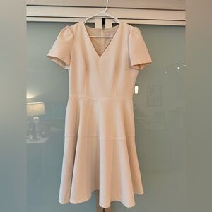 Gal Meets Glam Cream Fit and Flare Dress